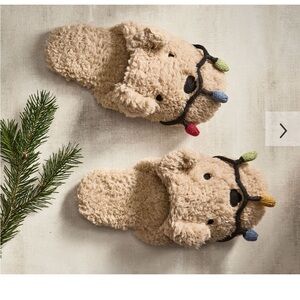 Pottery Barn dog with light slippers Small